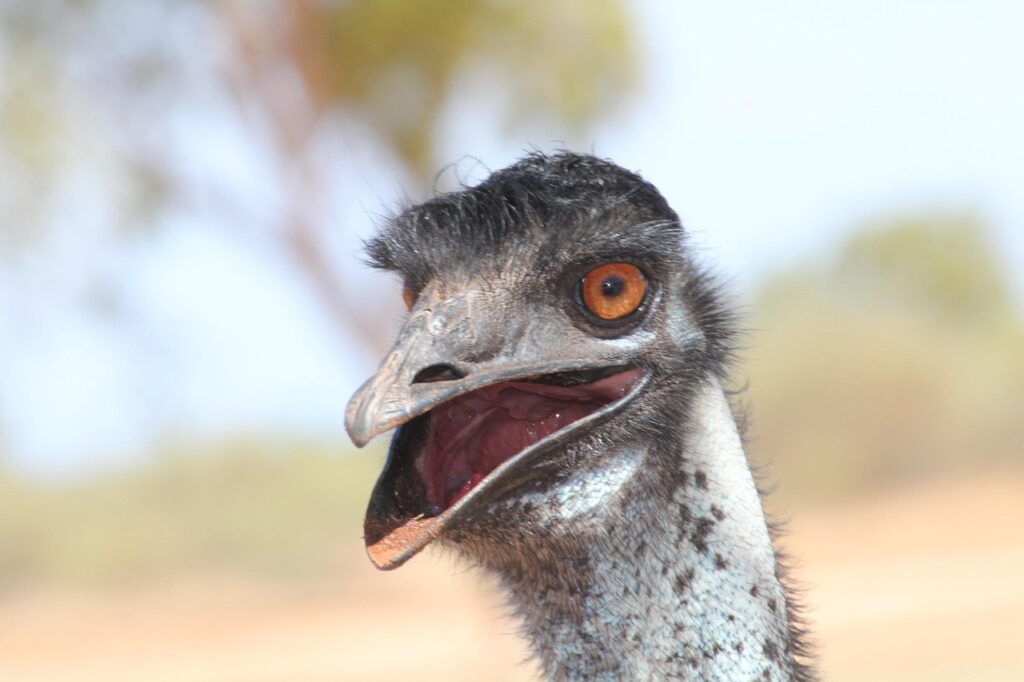 クレジットカードとau経済圏の上手な合わせ方は？