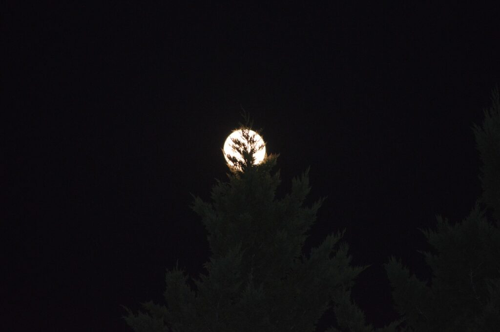 クレジットカード特典で利用できるラウンジの魅力は？