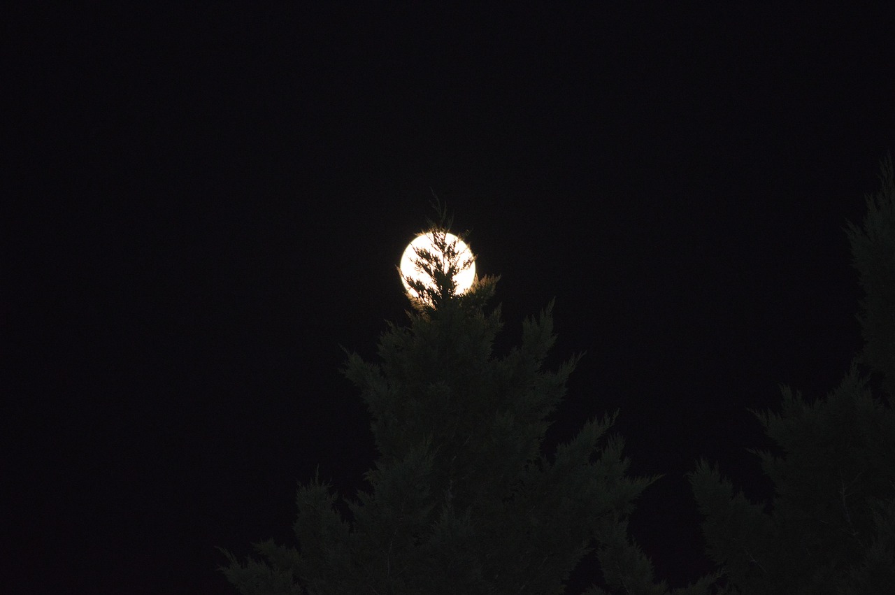 クレジットカード特典で利用できるラウンジの魅力は？