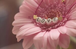 クレジットカードの年会費無料でおすすめの選び方は？